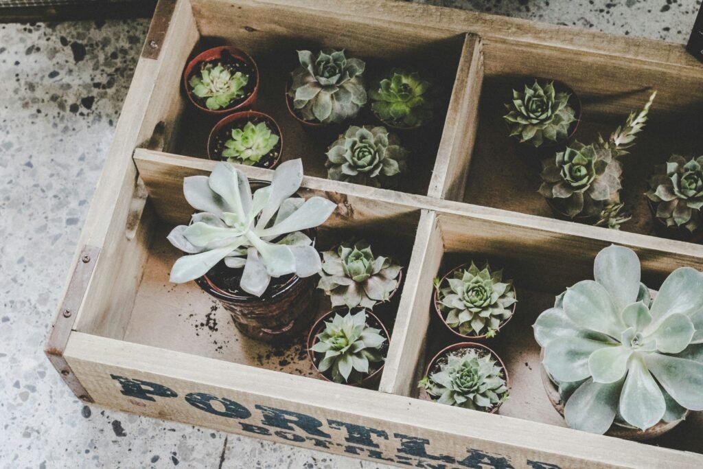 Revolutionizing Wood Crate Fabrication with New Materials